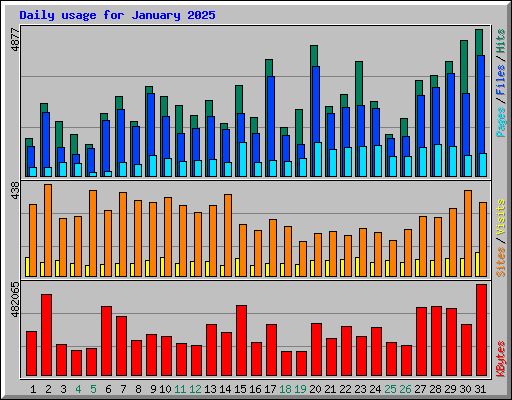 Daily usage for January 2025