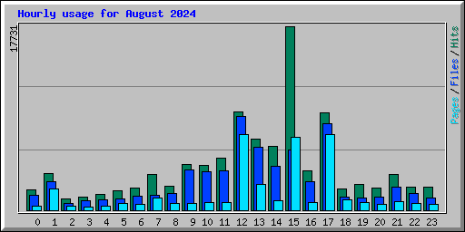 Hourly usage for August 2024