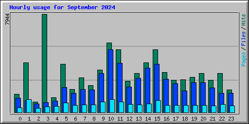 Hourly usage for September 2024