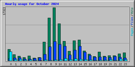 Hourly usage for October 2024