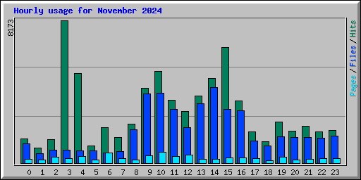 Hourly usage for November 2024