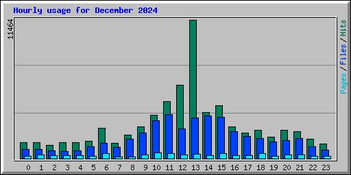 Hourly usage for December 2024