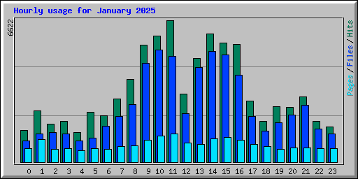 Hourly usage for January 2025
