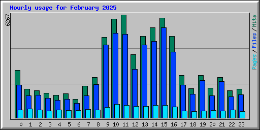 Hourly usage for February 2025
