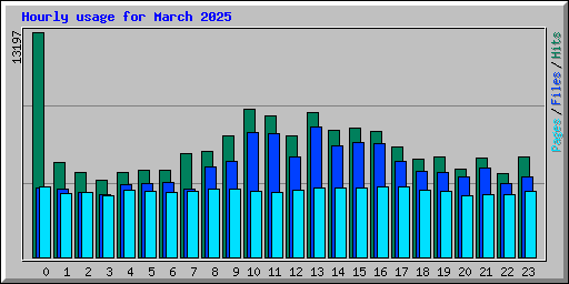 Hourly usage for March 2025