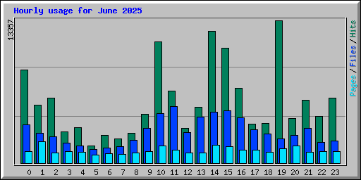 Hourly usage for June 2025