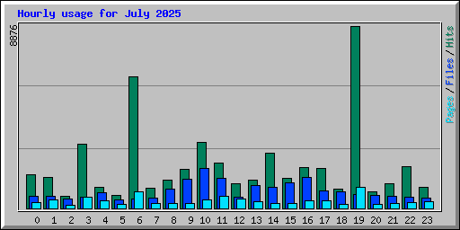 Hourly usage for July 2025