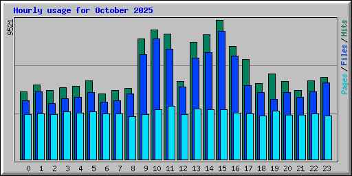 Hourly usage for October 2025