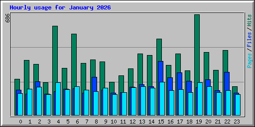 Hourly usage for January 2026